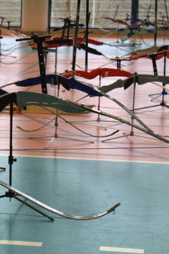 Archers sur le pas de tir